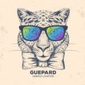 Hipster animal guepard. Hand drawing Muzzle of guepard Royalty Free Stock Photo