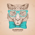 Hipster animal guepard. Hand drawing Muzzle of guepard