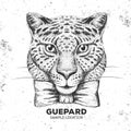 Hipster animal guepard. Hand drawing Muzzle of guepard Royalty Free Stock Photo