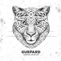 Hipster animal guepard. Hand drawing Muzzle of guepard Royalty Free Stock Photo