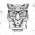 Hipster animal guepard. Hand drawing Muzzle of guepard Royalty Free Stock Photo