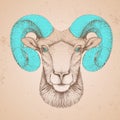 Hipster animal head of ram or mouflon. Hand drawing Muzzle of ram