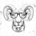 Hipster animal head of ram or mouflon. Hand drawing Muzzle of ram