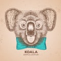 Hipster animal koala. Hand drawing Muzzle of koala