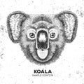 Hipster animal koala. Hand drawing Muzzle of koala