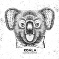 Hipster animal koala. Hand drawing Muzzle of koala