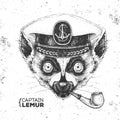 Hipster animal lemur captain`s cap and smoking pipe. Hand drawing Muzzle of lemur Royalty Free Stock Photo