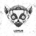 Hipster animal lemur. Hand drawing Muzzle of animal lemur