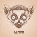 Hipster animal lemur. Hand drawing Muzzle of animal lemur