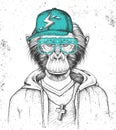 Hipster animal monkey dressed in cap like rapper. Hand drawing Muzzle of chimpanzee