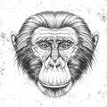 Hipster animal monkey. Hand drawing Muzzle of chimpanzee