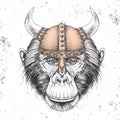 Hipster animal monkey wearing a viking helmet. Hand drawing Muzzle of chimpanzee