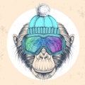Hipster animal monkey in winter hat and snowboard goggles. Hand drawing Muzzle of chimpanzee