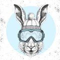 Hipster animal rabbit in winter hat and snowboard goggles. Hand drawing Muzzle of hare Royalty Free Stock Photo