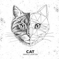 Hipster animal realistic and polygonal cat face.