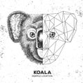 Hipster animal realistic and polygonal koala face.