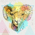 Hipster animal realistic and polygonal ram or mouflon face on watercolor background. Astrology zodiac sign Aries Royalty Free Stock Photo