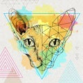 Hipster animal realistic and polygonal sphynx cat face on watercolor background