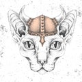 Hipster animal sphynx cat wearing a viking helmet. Hand drawing Muzzle of cat Royalty Free Stock Photo