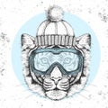 Hipster animal tiger in winter hat and snowboard goggles. Hand drawing Muzzle of tiger