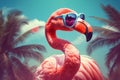 hipster animal tropical sunglasses bird pink summer feather flamingo party. Generative AI.