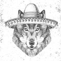 Hipster animal wolf wearing a sombrero hat. Hand drawing Muzzle of wolf