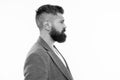 Hipster appearance. Beard fashion and barber concept. Man bearded hipster stylish beard and mustache isolated white