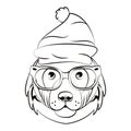 Hipster bear cool sketch Royalty Free Stock Photo