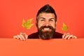 Hipster with beard and cheerful face plays with leaves.