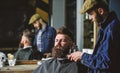 Hipster with beard covered with cape trimming by professional barber in stylish barbershop. Barber busy with grooming Royalty Free Stock Photo