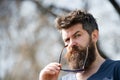 Hipster with beard and mustache on strict face, nature background, defocused. Man with beard looks stylish and confident Royalty Free Stock Photo