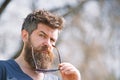 Hipster with beard and mustache on strict face, nature background, defocused. Man with beard looks stylish and confident Royalty Free Stock Photo