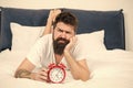 Hipster bearded man lay in bed with alarm clock. Time to wake up. Why you should wake up early every morning. Health Royalty Free Stock Photo