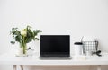 Hipster bloggers work place, laptop and flowers on white tabletop Royalty Free Stock Photo