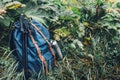 Hipster Blue Backpack, Thermos And Trekking Poles Closeup. Tourist Traveler Bag Green Background. Adventure Hiking Concept