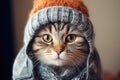 Hipster Cat With A Cool Beanie And Scarf Cat Accessories, Hipster Cats, Cat Beanies, Cat Scarves, Fu