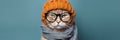 Hipster Cat With A Cool Beanie And Scarf Cat Accessories, Hipster Cats, Cat Beanies, Cat Scarves, Fu