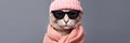 Hipster Cat With A Cool Beanie And Scarf Cat Accessories, Hipster Cats, Cat Beanies, Cat Scarves, Fu