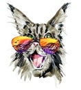 Hipster Cat Portrait. Maine Coon cat. watercolor cat illustration