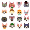 Hipster cats faces set