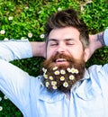 Hipster on cheerful face lays on grass, top view. Springtime concept. Guy looks nicely with daisy or chamomile flowers Royalty Free Stock Photo