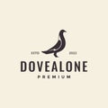 Hipster dove bird logo design Royalty Free Stock Photo