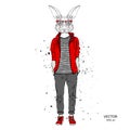 Hipster dressed rabbit up in jacket, pants and sweater. The old city of Prague. Vector illustration, Royalty Free Stock Photo