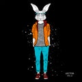 Hipster dressed rabbit up in jacket, pants and sweater. The old city of Prague. Vector illustration, Royalty Free Stock Photo