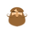 Hipster face isolated. Beard and mustache.