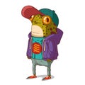 A hipster froglet, isolated vector illustration. Cool anthropomorphic frog guy wearing a casual outfit