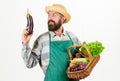 Hipster gardener wear apron carry vegetables. Farmer straw hat hold eggplant and basket vegetables. Fresh organic Royalty Free Stock Photo