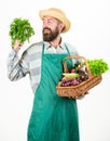 Hipster gardener wear apron carry vegetables. Farmer straw hat hold parsley and basket vegetables. Man bearded Royalty Free Stock Photo