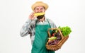 Hipster gardener wear apron carry vegetables. Man bearded presenting vegetables white background isolated. Farmer straw Royalty Free Stock Photo