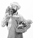 Hipster gardener wear apron carry vegetables. Man bearded presenting vegetables white background isolated. Farmer straw Royalty Free Stock Photo